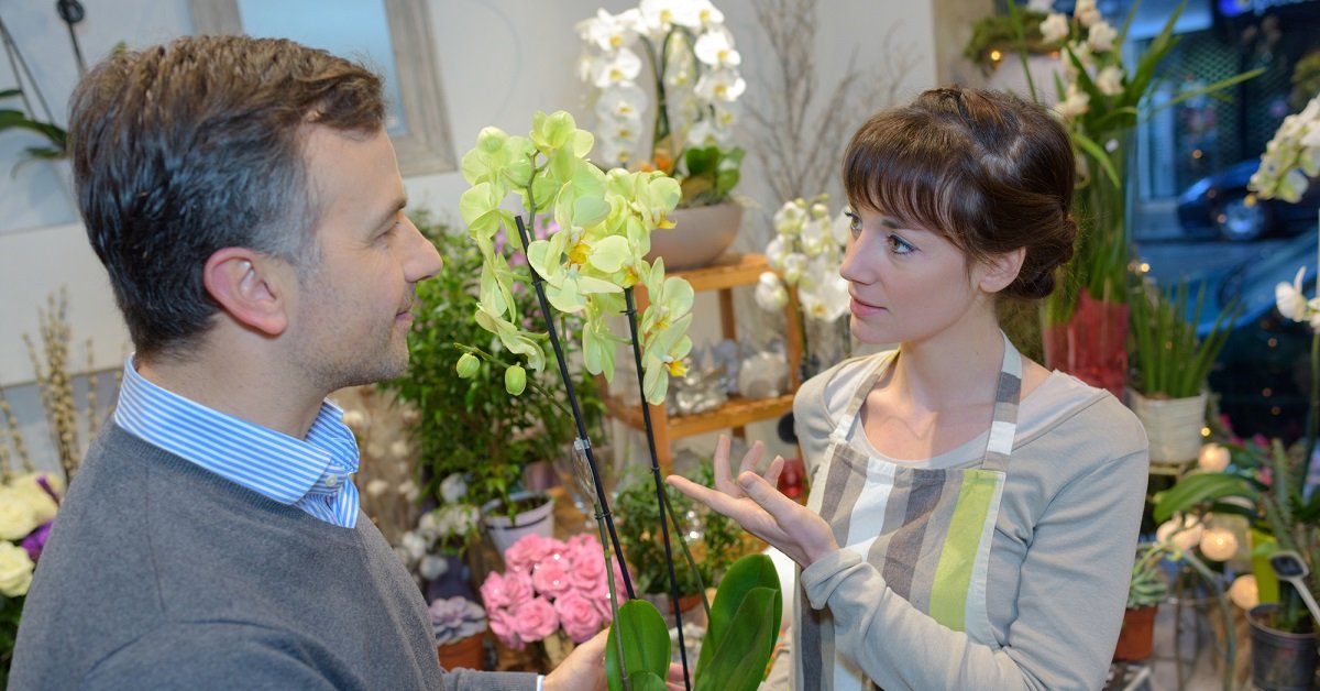 Как выбрать орхидею – 7 секретов успешной покупки || Ассортимент орхидей